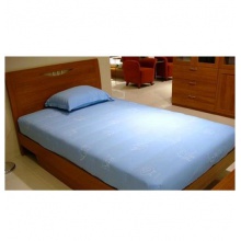  1.9*1米單人床 生態(tài)板 帶20cm棕櫚墊